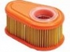 Briggs and Stratton Air Filter No. 792038.
