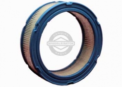 Briggs and Stratton Air Filter No. 394018S.