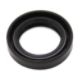 AYP/Sears/Craftsman Oil Seal No. 532007393