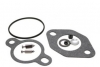 Kohler Carburetor Repair Kit No. 12-757-03-S.