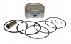 Kohler Piston and Ring Set STD No. 24-874-42-S