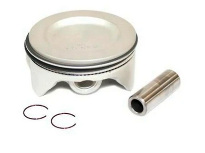Kohler Piston and Rings Kit. Part No. 25-874-13-S