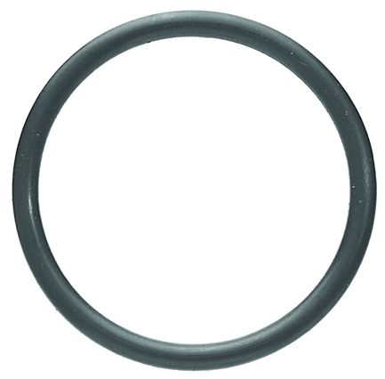 Briggs and Stratton Intake Manifold Seal No. 270344S