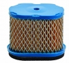 Briggs & Stratton Air Filter fits Intek  697029