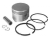 Briggs & Stratton Piston / Ring Set Assembly No. 391285