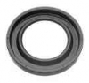 Briggs & Stratton Oil Seal PTO No. 495307