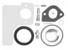 Briggs & Stratton Carburetor Rebuild Kit No. 394698