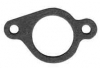 Briggs & Stratton Intake Gasket No. 272199