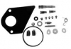 Briggs & Stratton Carburetor Rebuild Kit No. 498116