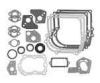 Briggs & Stratton Complete Gasket Set with Seals No. 495602