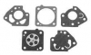 Nikki Diaphragm and Gasket Kit No. 605009-012