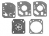 Zama Diaphragm and Gasket Kit No. GND-12