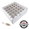 Briggs and Stratton Spark Plug Pack Of 100