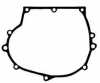 Tecumseh Base Gasket  No. 30684