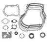 Briggs & Stratton Complete Gasket Set With Seals No. 496659