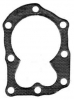 Briggs & Stratton Head Gasket  No. 698717