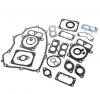 Briggs and Stratton Engine Gasket Set No. 694012