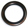 Briggs & Stratton Starter Oil Seal No. 795387