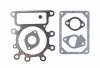 Briggs and Stratton Valve Gasket Set No. 796189